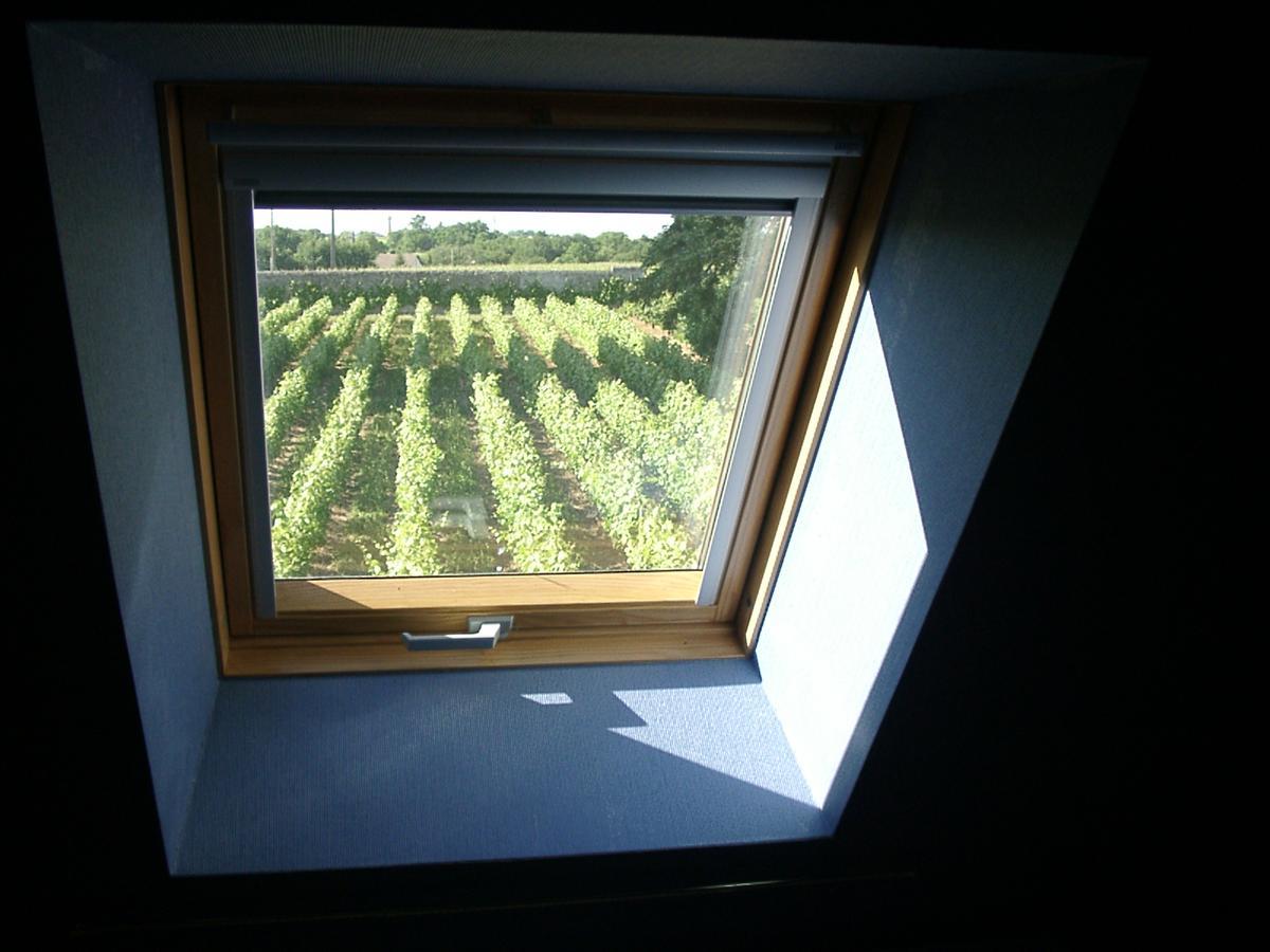 Au Clos De L'Epinay Vouvray Exterior photo